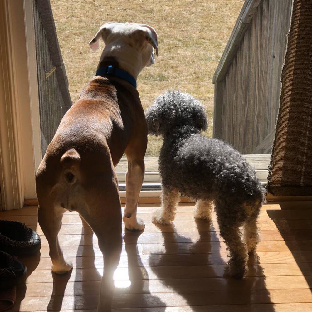 Meet your Posher, Bethamie